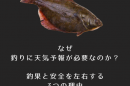 グレーと白　ビンテージ　釣り　ロゴ (5)
